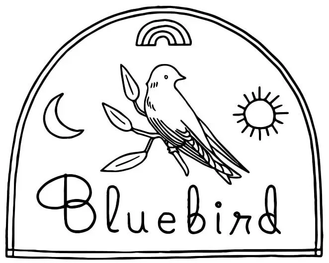 Bluebird Laser Hair Removal logo
