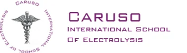 Caruso International School of Electrolysis logo