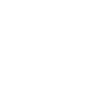 V&N MedLaser Aesthetic Studio logo