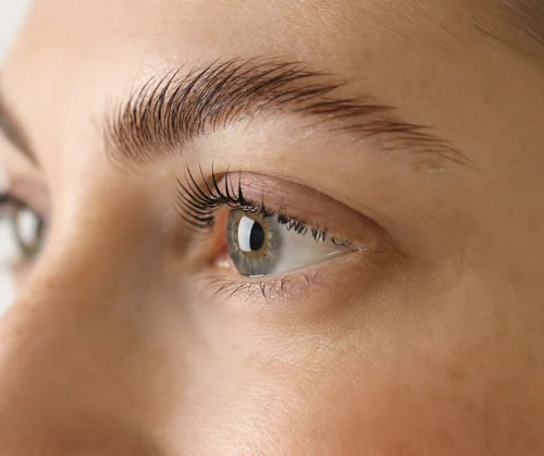 Botox brow lift guide hero image